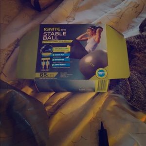 Exercise ball from target ball pump two inserts